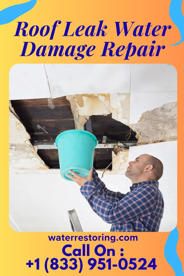 Roof Leak Water Damage Repair in Bee, OK