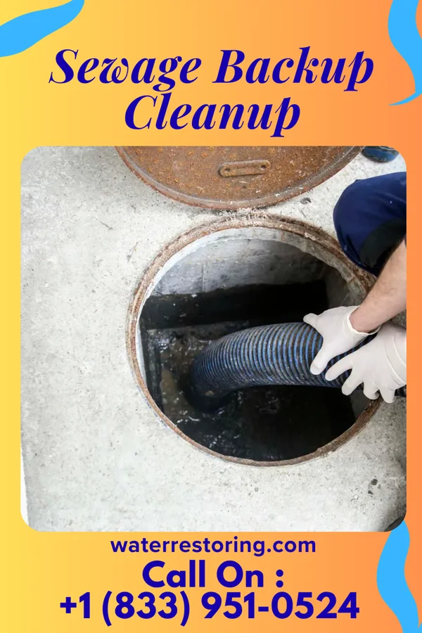 Sewage Backup Cleanup in Bee, OK
